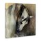 Stupell Industries Classical White Horse Canvas Wall Art Design by Marilyn Hageman